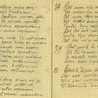 0192-Alvine-Geistaute-0015