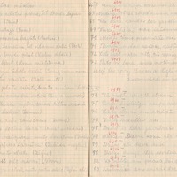 1766-Vilkenes-pamatskola-04-0043