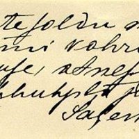 daina-019341
