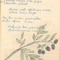 Illustrations of song and poem book of student