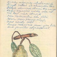 Illustrations of song and poem book of student