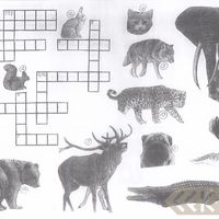 Illustrations of riddles