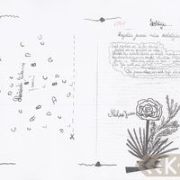 Illustration of a wish