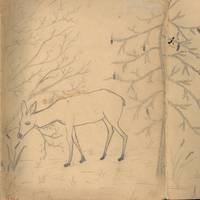 The cover of song book
