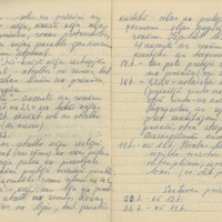 1880-zinatniska-ekspedicija-Bauska-08-0058