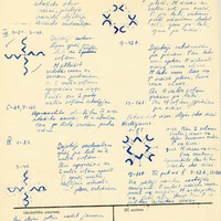 1895-6-zinatniska-ekspedicija-21-0064
