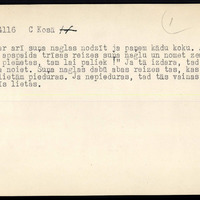 LFK-0279-04116-buramvardu-kartoteka