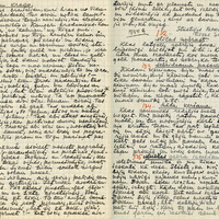 0631-Fricis-Gulbis-0015
