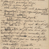 0191-Martins-Celmins-17-0170