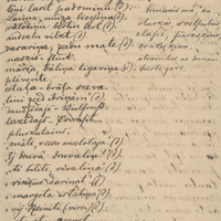 0191-Martins-Celmins-17-0174