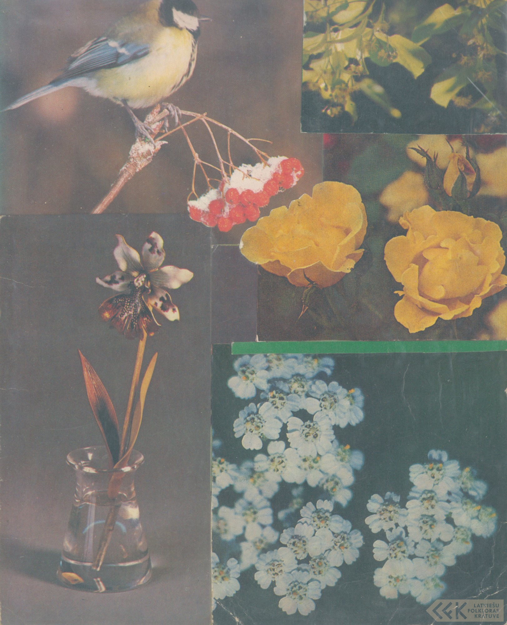 First manuscript page: School diaries of Ilze Sperga