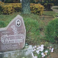 Ulda Freimaņa kapa vieta