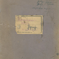 Diaries of Jānis Spriņģis