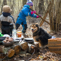 Lunch in the forest