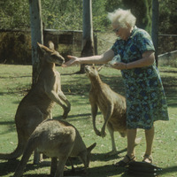 Zenta Ērgle baro ķengurus Austrālijā.