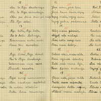 1626-Bukaisu-6-kl-pamatskola-01-0024