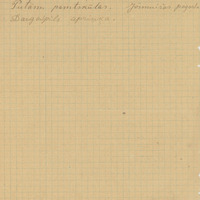 0001-Bernu-dziesmu-kolekcija-07-0966
