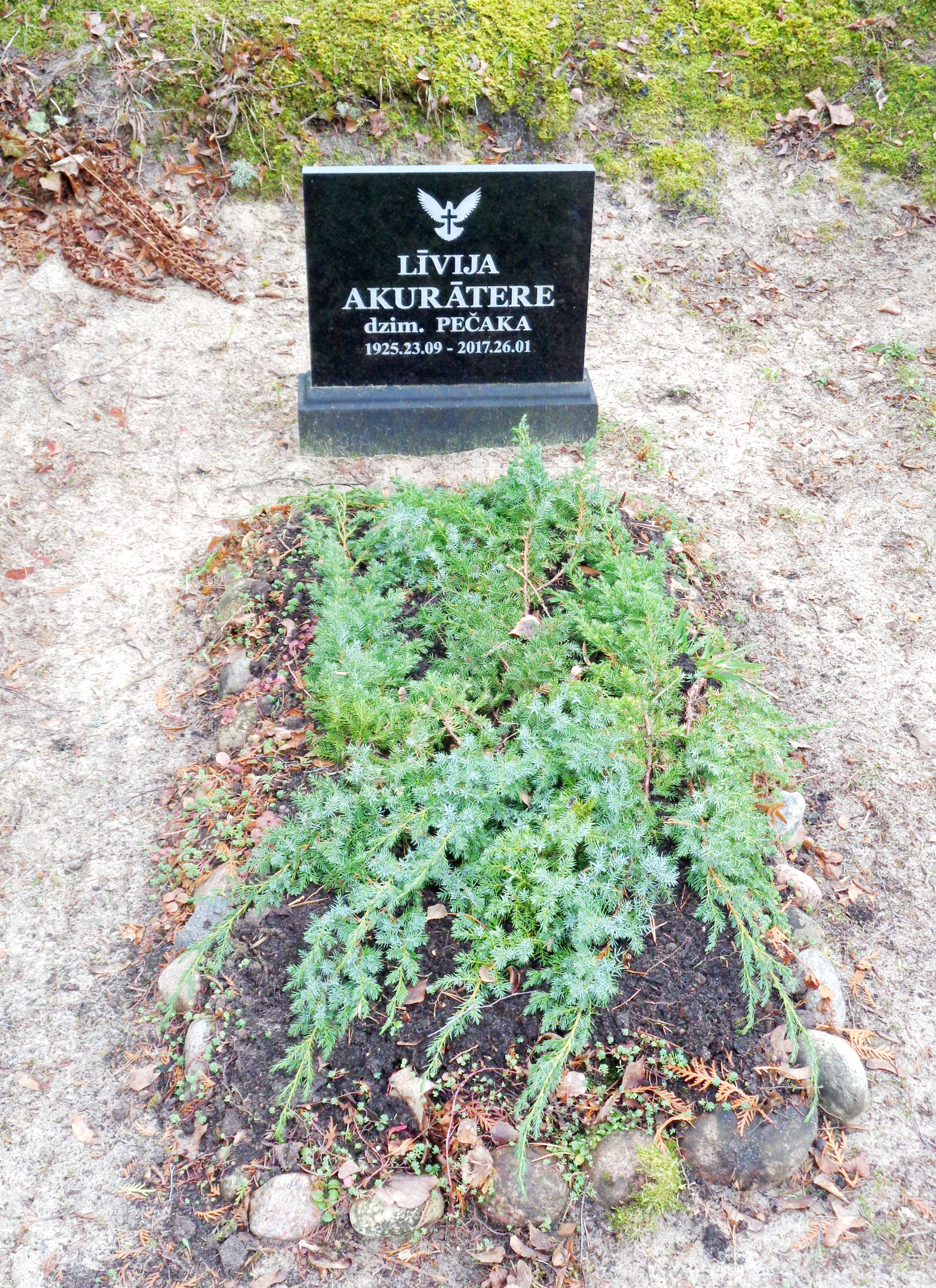 Teātra kritiķes Līvijas Akurāteres atdusas vieta Apšuciema kapos