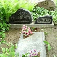 Dzejnieka Harija Gāliņa atdusas vieta Raiņa kapos