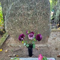 Literatūrzinātnieka Alfrēda Gātera pārapbedījuma vieta Stāmerienas kapos