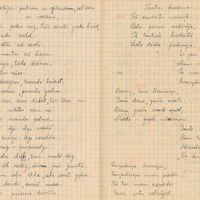 1551-Dzukstes-pamatskola-03-0183