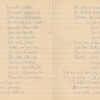 1198-K-Lielozols-01-0072