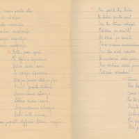 1198-K-Lielozols-01-0076