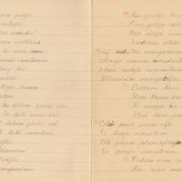 1198-K-Lielozols-01-0132