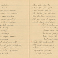1198-K-Lielozols-01-0164