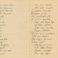 1198-K-Lielozols-01-0176