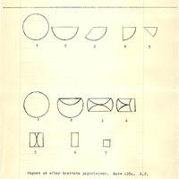 NEG_4_493_He_Folldal