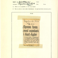 NEG_7_11726_AA_Vegårshei