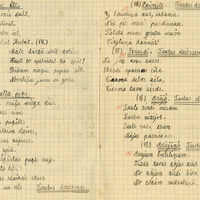 0941-Vilces-6-kl-pamatskola-01-0047
