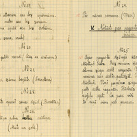 0941-Vilces-6-kl-pamatskola-01-0064