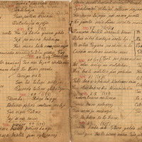 1708-V-Porzina-01-0039