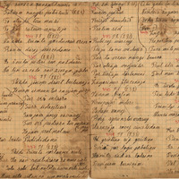1708-V-Porzina-01-0041