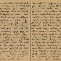 0332-Antons-Kokals-01-0008