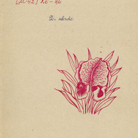 2042-Zelma-Kubulina-01-0013