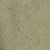 Ak230-Olgas-Veges-atminas-01-0001