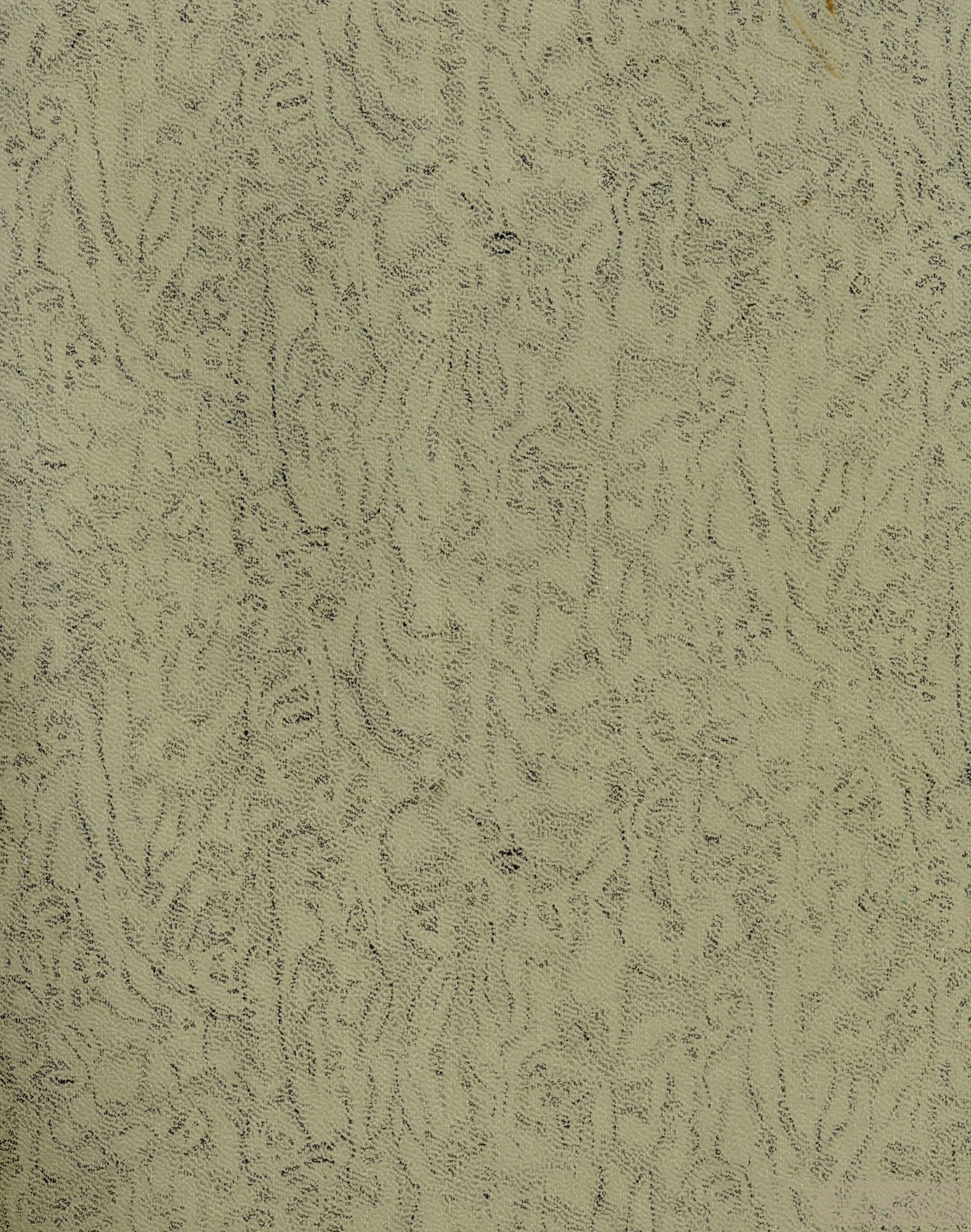 First manuscript page: Memories of Olga Veģe