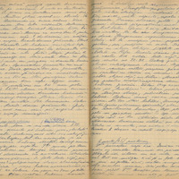 Ak222-Ilgvara-Ozola-dienasgramatas-01-0069