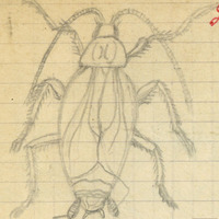 2117-1208a