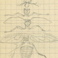 2117-1208c
