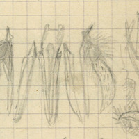 2117-1208d