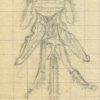 2117-1208e
