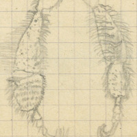 2117-1208f