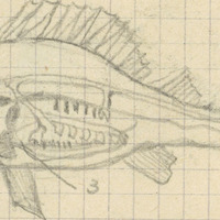 2117-1208h