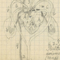 2117-1208l