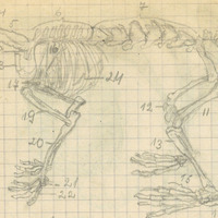 2117-1208m