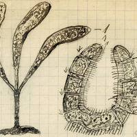 2117-1208o